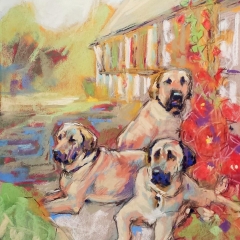 2018-Hund-18