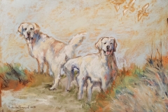2018-Hund-20